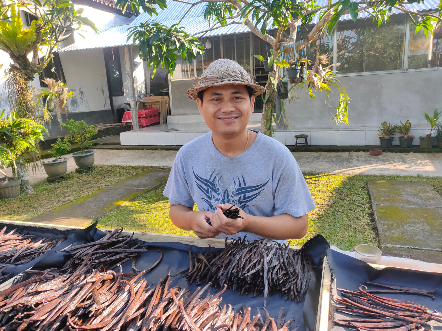 Vanilleschoten aus Bali, Ernte 2025 – 2 Schoten, Länge 14-17 cm