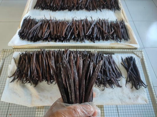 Vanilleschoten aus Bali, Ernte 2025 – 5 Schoten, Länge 14-17 cm